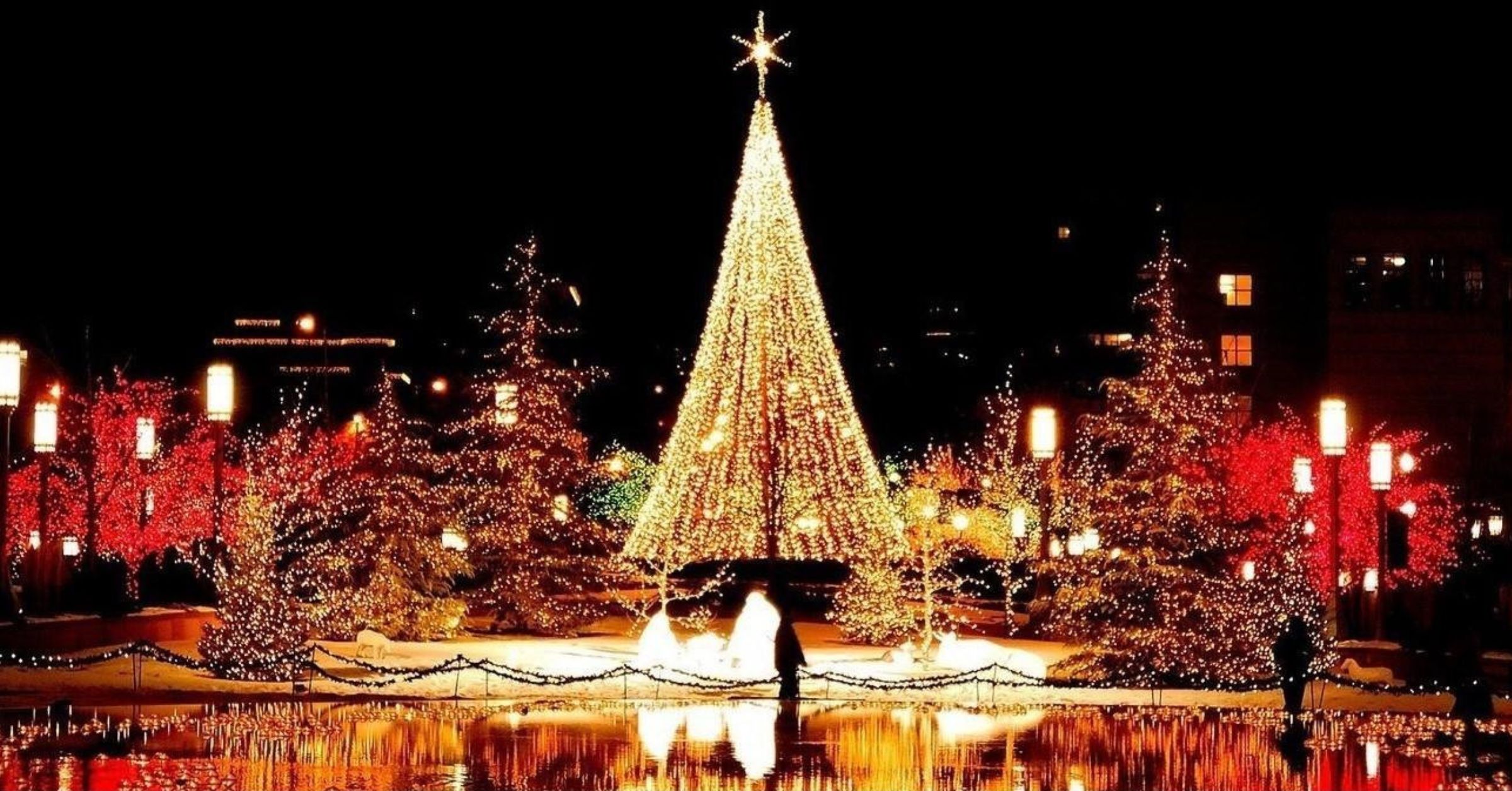 Bliss Lanka Travel and Tours