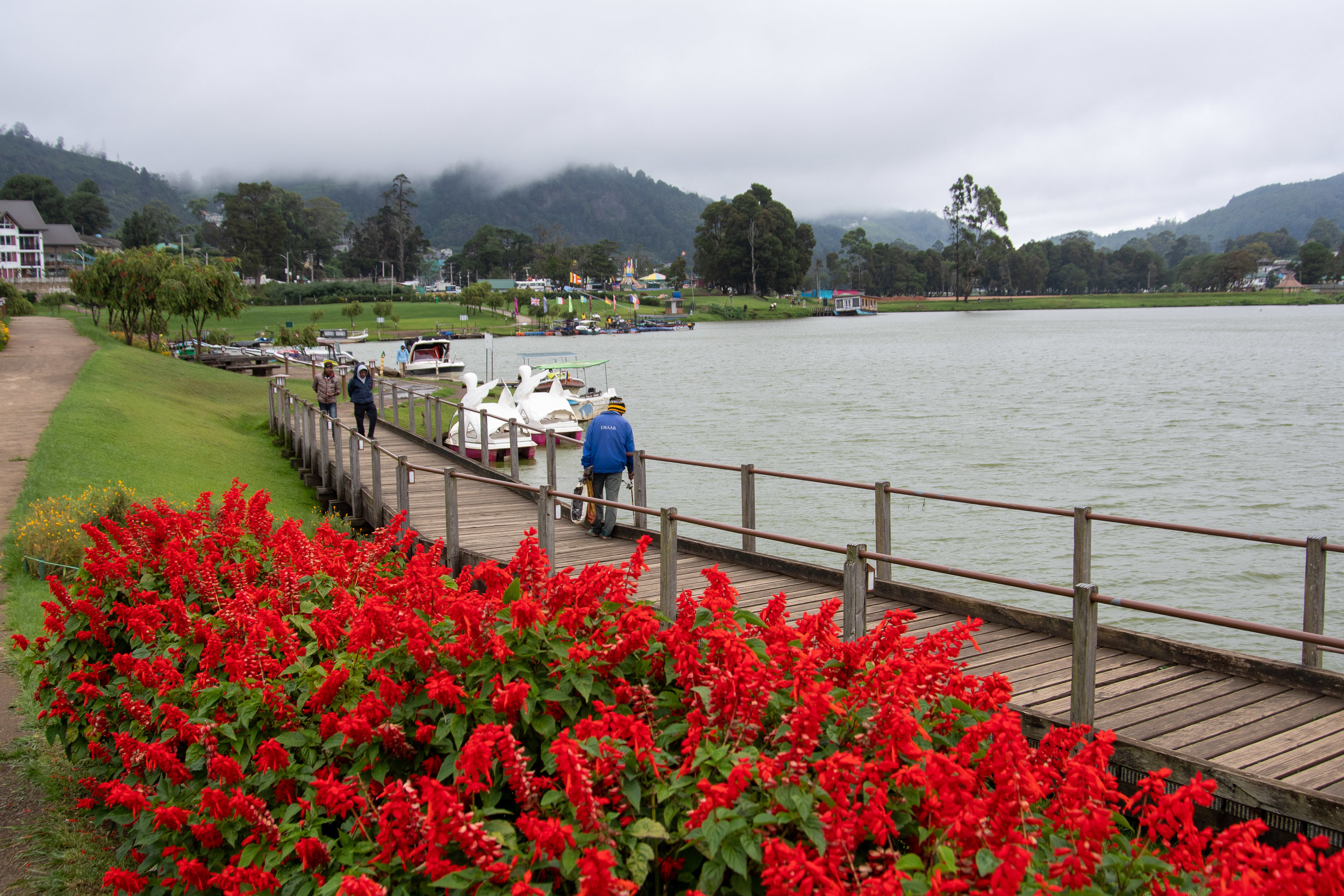 Bliss Lanka Travel and Tours